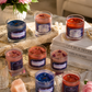 Blush & Sapphire Collection🌷💙